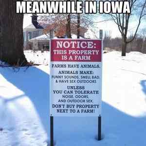 Obrázek 'Farms Have Animals'