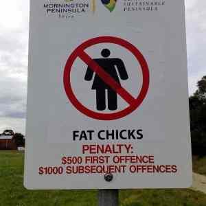Obrázek 'Fat chicks'