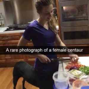 Obrázek 'Female centaur'