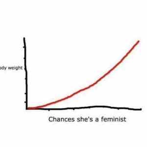 Obrázek 'Feminism Chart  '