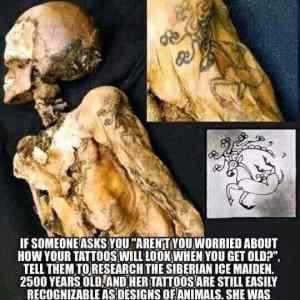 Obrázek 'Fetka BC'