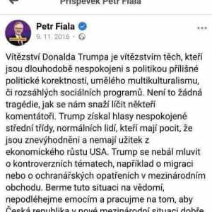 Obrázek 'FialaGlosujeTrumpa'