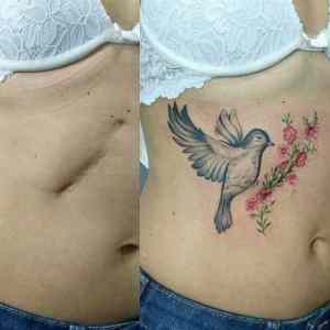 Obrázek 'Fixed&nbsp;A&nbsp;Scar'