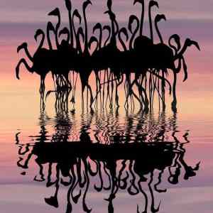Obrázek 'Flamingo Silhouette'