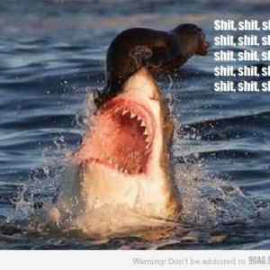 Obrázek 'Fly&nbsp;little&nbsp;fella&nbsp;'