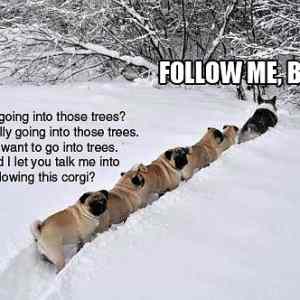 Obrázek 'Follow&nbsp;me&nbsp;boys&nbsp;09-02-2012'