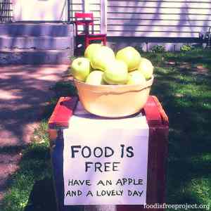 Obrázek 'Food is free project'