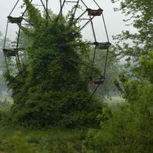 Obrázek 'Forest carousel'