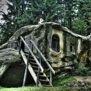 Obrázek 'Forest church'