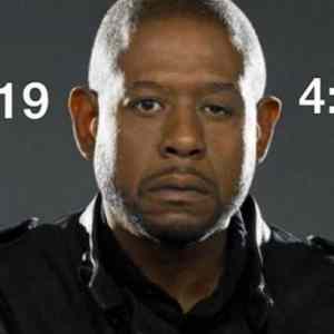 Obrázek 'Forestime'