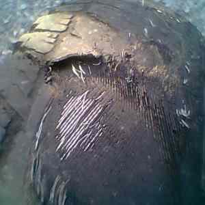 Obrázek 'Foto.0093'