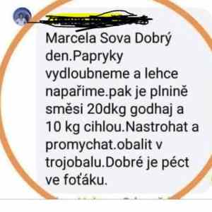 Obrázek 'Fotoaparatnice'