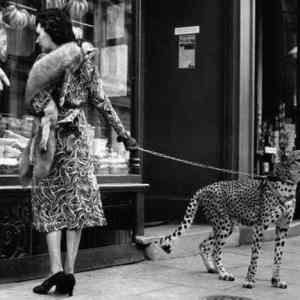 Obrázek 'Freaky retro photo17'