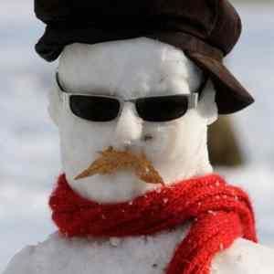 Obrázek 'Freaky snowman'