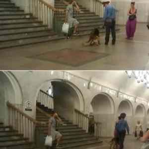 Obrázek 'FuckTheRussianPolice  '