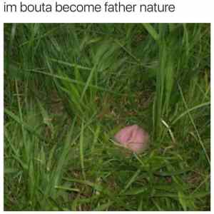 Obrázek 'Fuck mother nature'