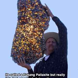 Obrázek 'FukangPalasite'