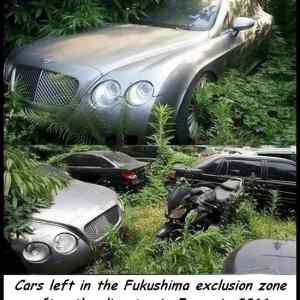 Obrázek 'FukushimaIn2011'