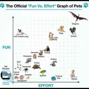 Obrázek 'Fun Vs Effort Graph For Pets'