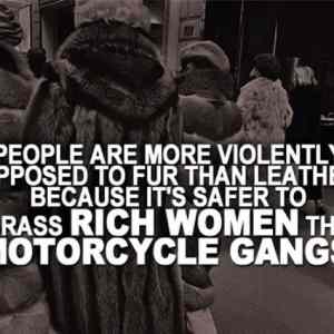 Obrázek 'Fur Haters. . . ' Obrázek 'Fur Haters. . . '