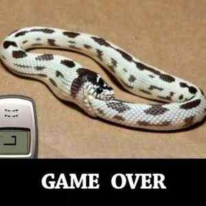 Obrázek 'Game over - 30-06-2012'