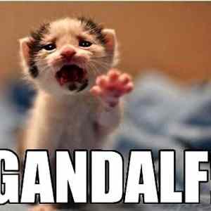 Obrázek 'Gandalf - 29-05-2012'