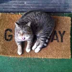 Obrázek 'Gay - 06-06-2012'