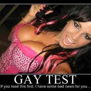 Obrázek 'Gay Test 2'