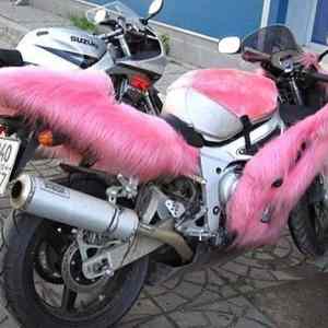 Obrázek 'Gaybike 23-03-2012'