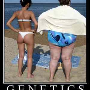 Obrázek 'Genetics - 09-05-2012'