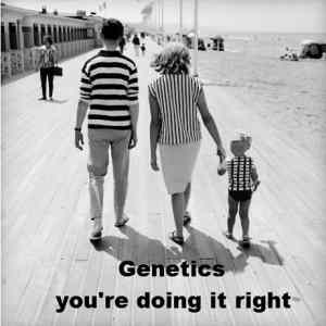 Obrázek 'Genetics 10-02-2012'