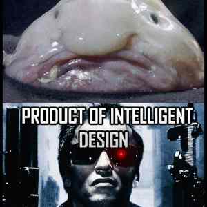 Obrázek 'Genetics&nbsp;fixed'