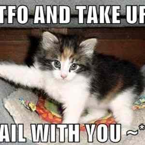 Obrázek 'Get&nbsp;Out'