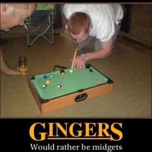 Obrázek 'Gingers'