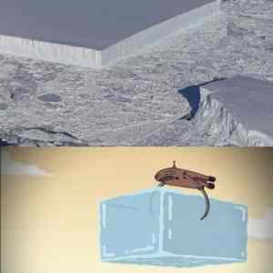 Obrázek 'Glacier explained'