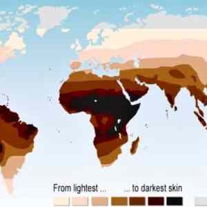 Obrázek 'Global Map Of Skin Colour'