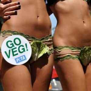 Obrázek 'Go&nbsp;Veg'