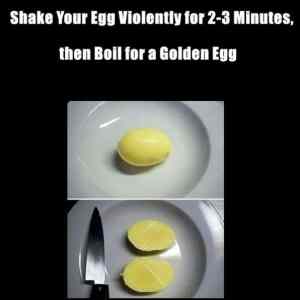 Obrázek 'Golden Egg' Obrázek 'Golden Egg'