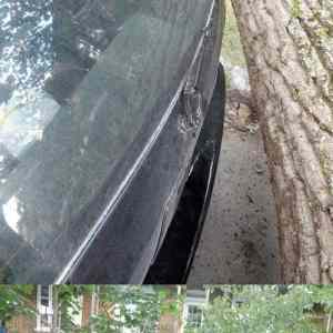 Obrázek 'Good&nbsp;luck&nbsp;01-03-2012'