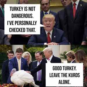 Obrázek 'Good turkey'