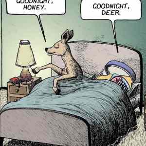 Obrázek 'Goodnight  '