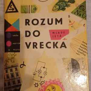Obrázek 'Google search 1975'