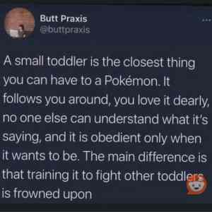 Obrázek 'Gotta-catch-em-all-but-please-dont-make-them-battle'