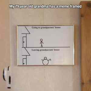 Obrázek 'GrandmaMemeFramed'