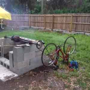 Obrázek 'Grilidea&nbsp;'