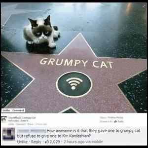 Obrázek 'Grumpy-cat-is-here'