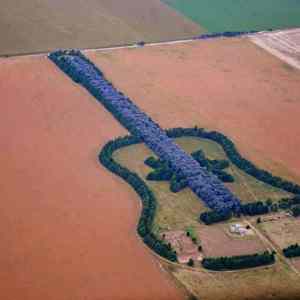 Obrázek 'Guitar-farmer in Argentina'