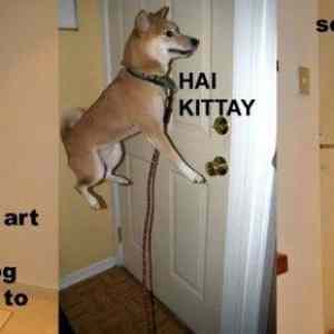 Obrázek 'Hai Kitty'