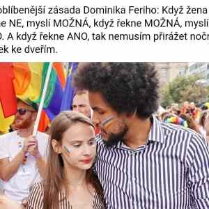 Obrázek 'Hairy&nbsp;fairy'