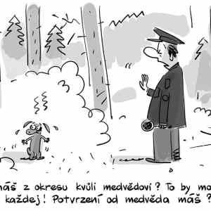 Obrázek 'Halt - Ihre Papiere bitte'